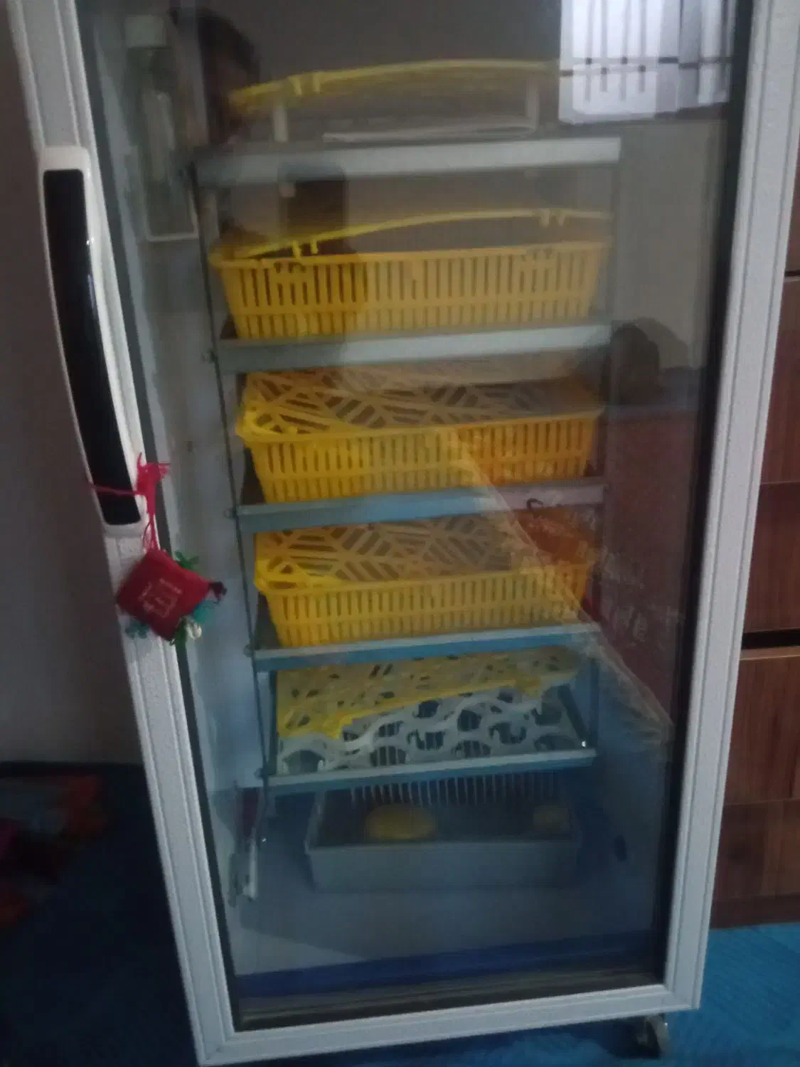 دستگاه جوجه کشی بلدرچین دماوند|لوازم جانبی حیوانات|انبارآلوم, |دیوار