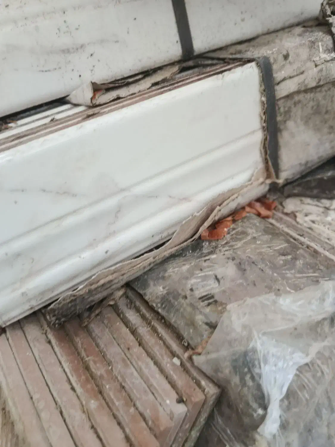 کاشی نو در شهرک ولیعصر|مصالح و تجهیزات ساختمان|گرمی, |دیوار