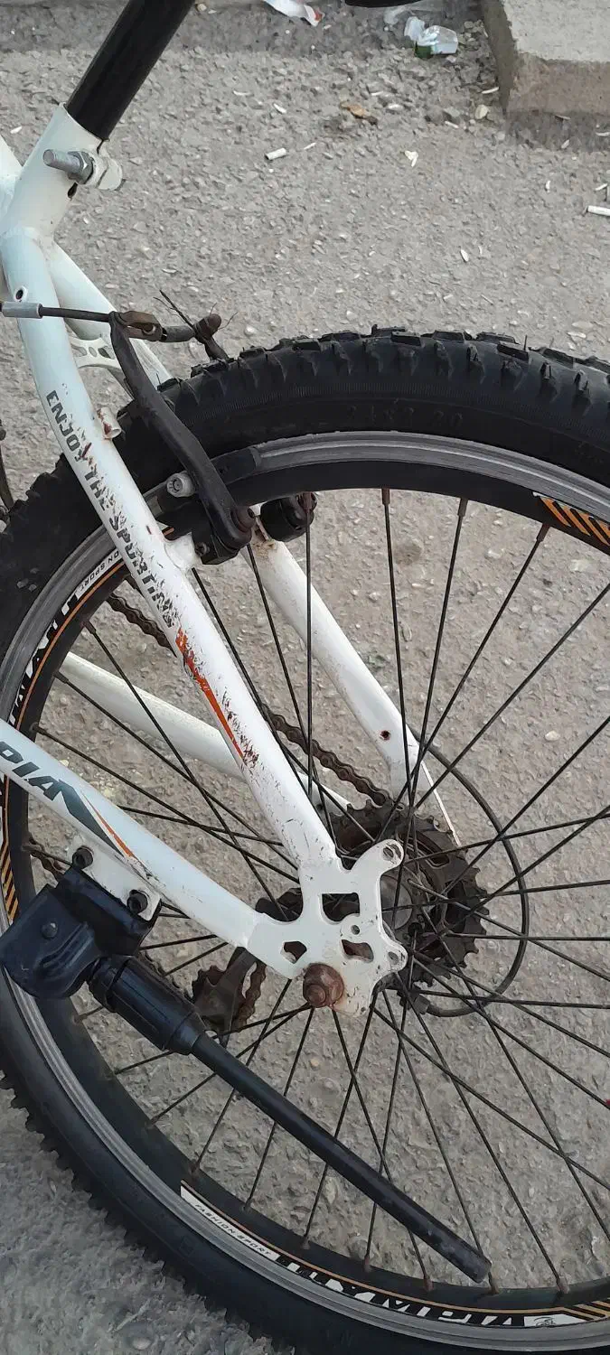 دوچرخه ۲۴|دوچرخه، اسکیت، اسکوتر|اهواز, سپیدار|دیوار