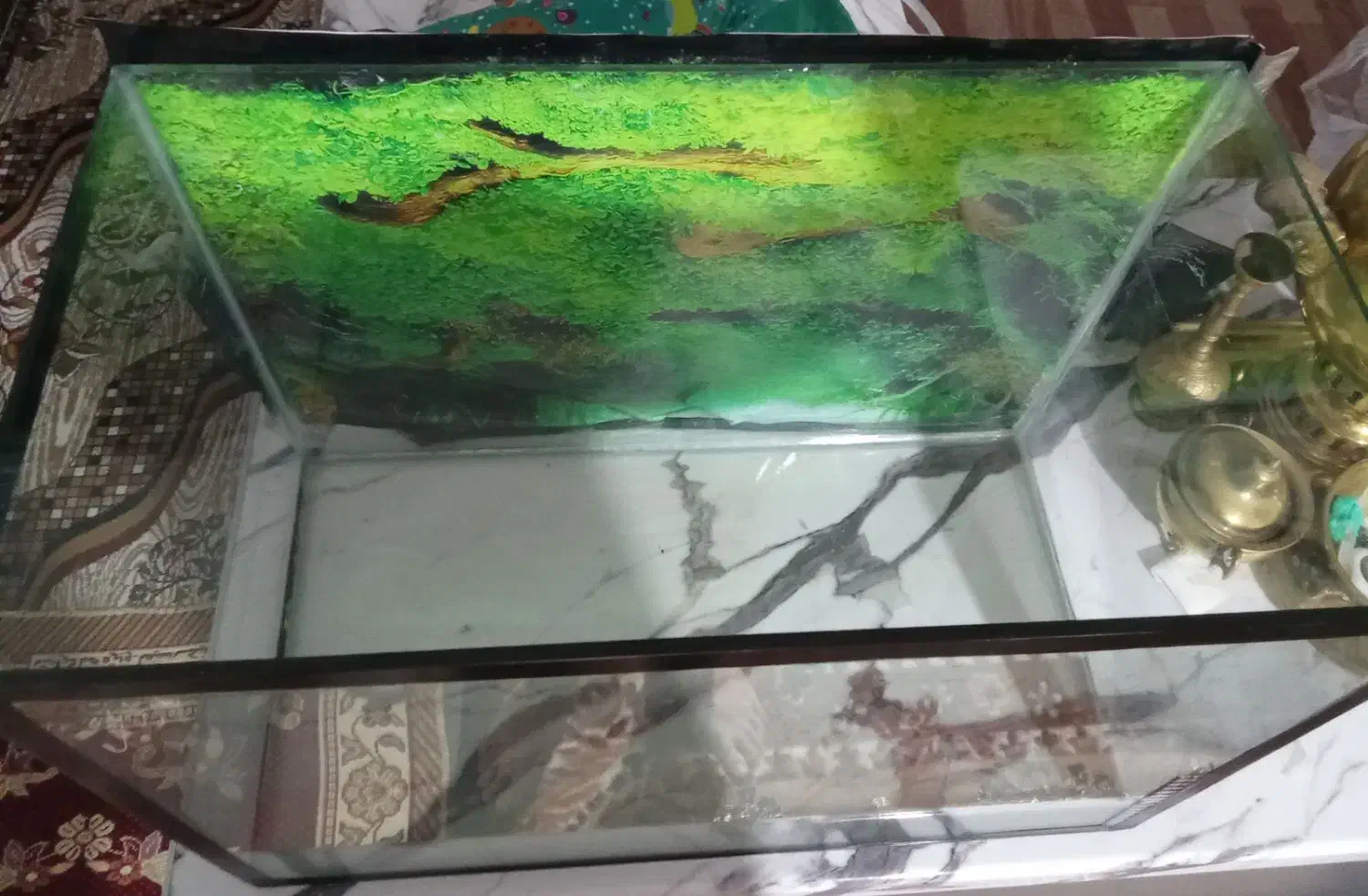 آکواریوم|ماهی|خوی, |دیوار