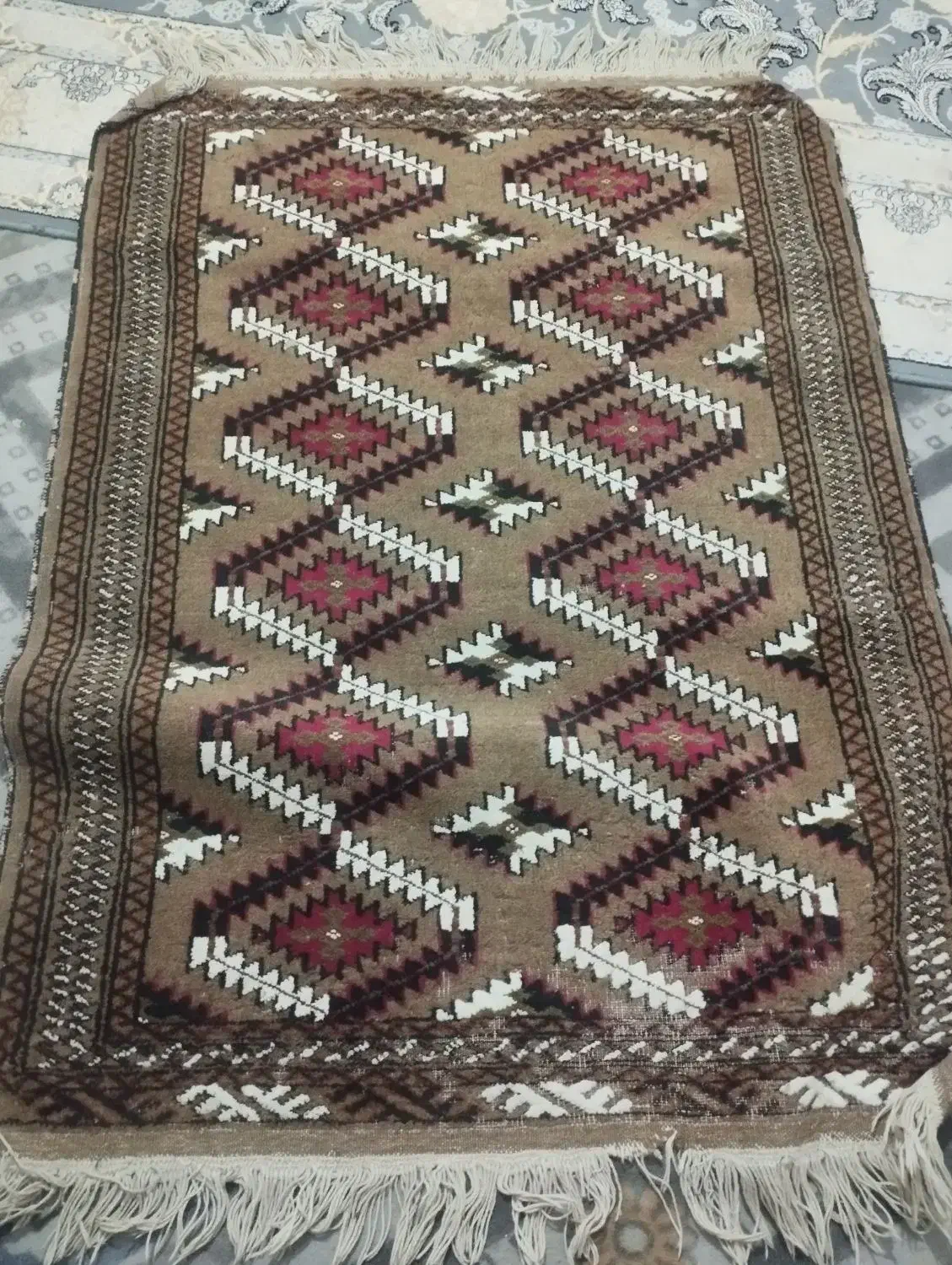 گلیم انتیک سالم وتمیز|گلیم، جاجیم، گبه|مشهد, میان ولایت|دیوار