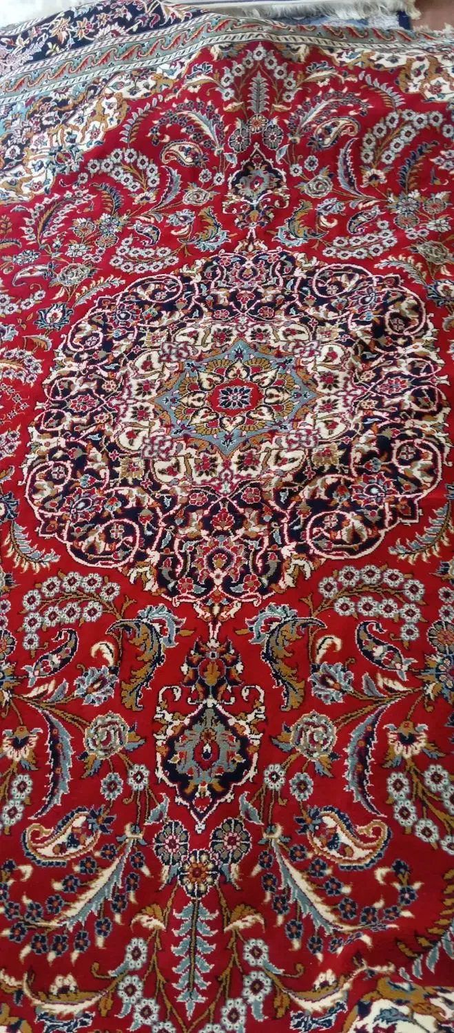 فرش|فرش|گلبهار, بیزکی|دیوار