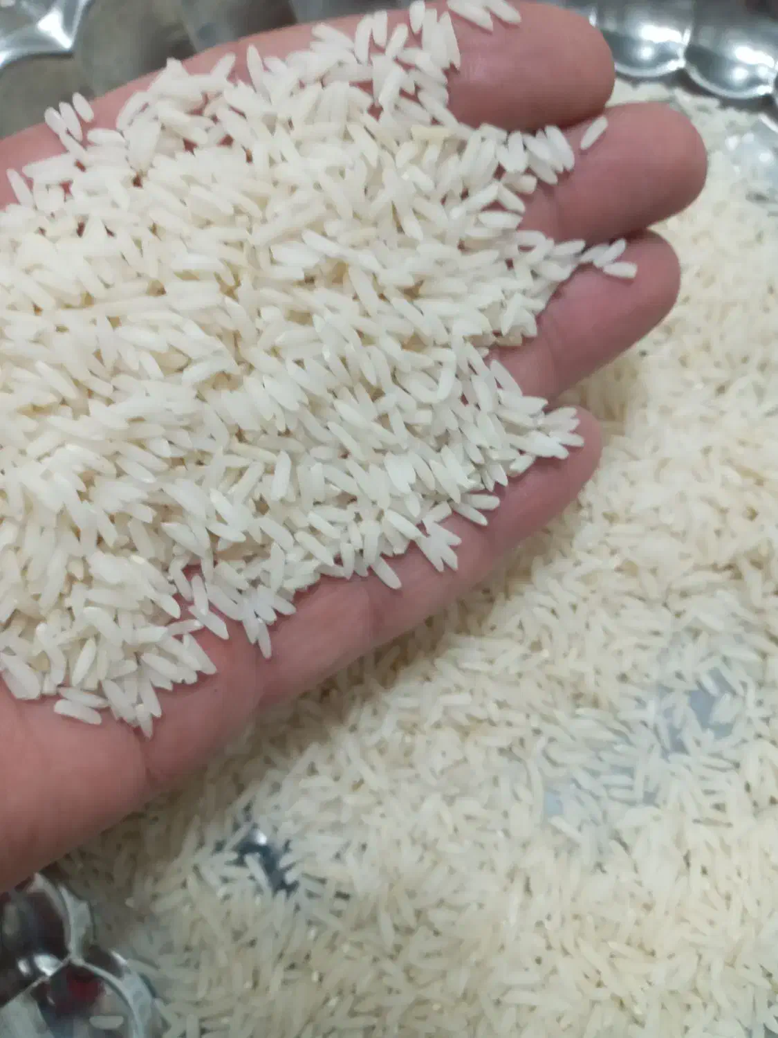 برنج هاشمی اعلادرجه یک گیلان رشت|خوردنی و آشامیدنی|رشت, استادسرا|دیوار