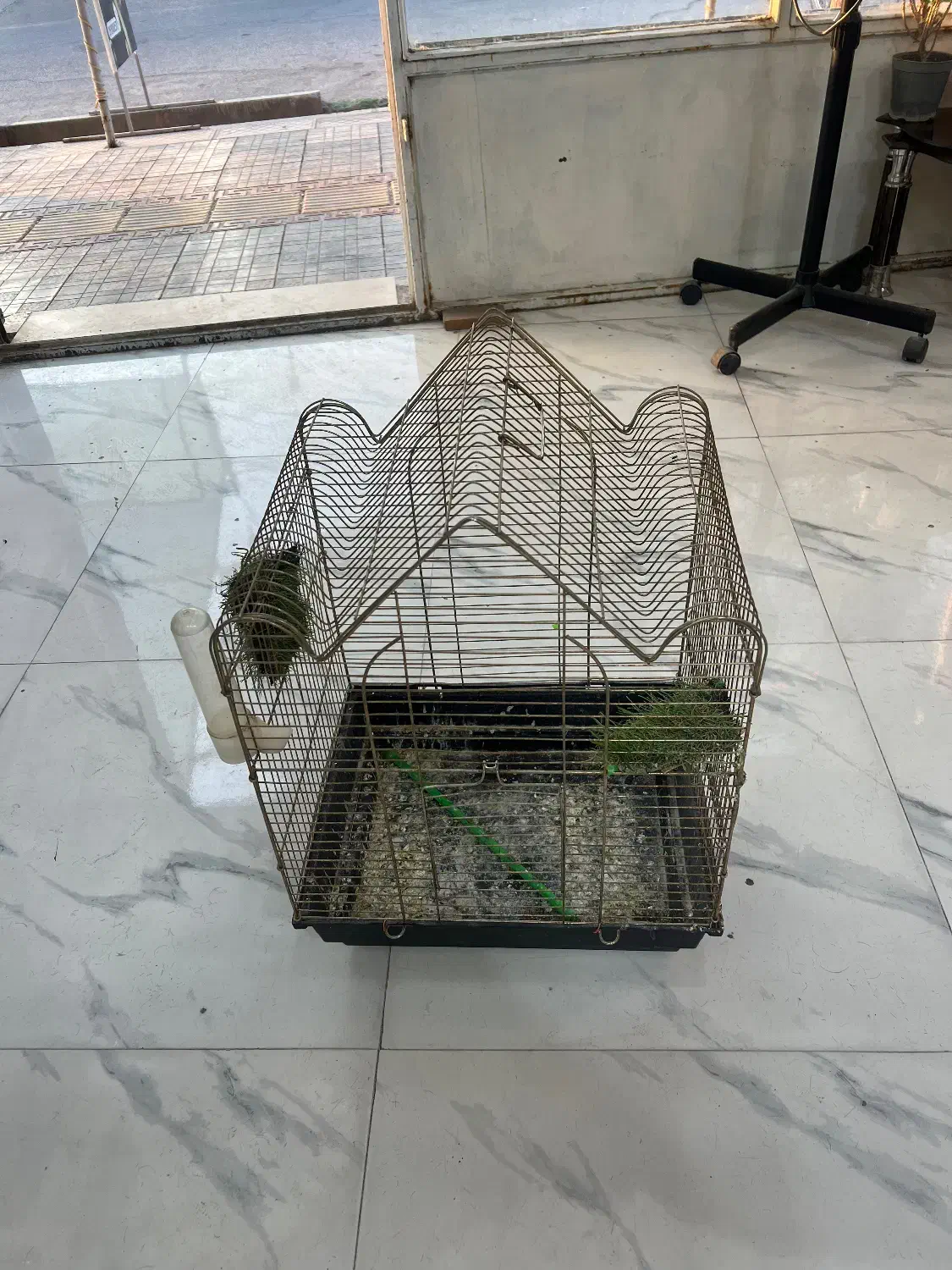 قفس پرنده|لوازم جانبی حیوانات|گرمسار, |دیوار