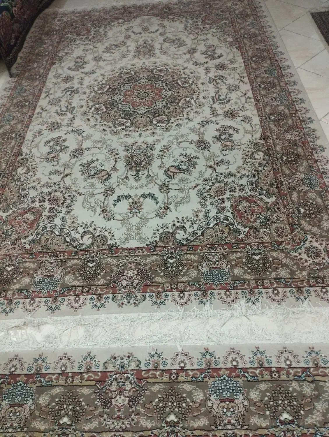 قالی|فرش|بیرجند, |دیوار