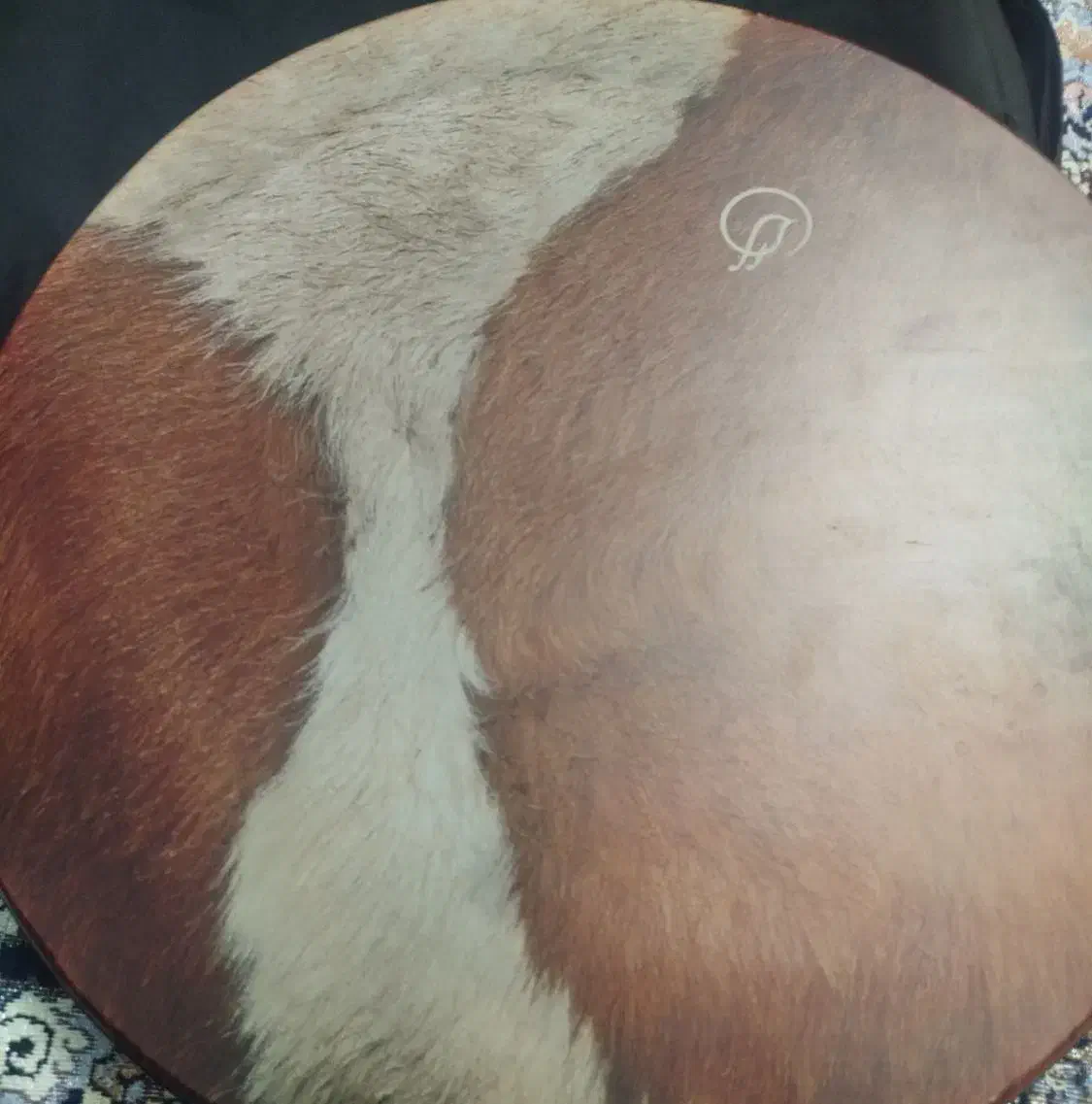 آموزش ساز دف|سازهای سنتی|گرگان, |دیوار