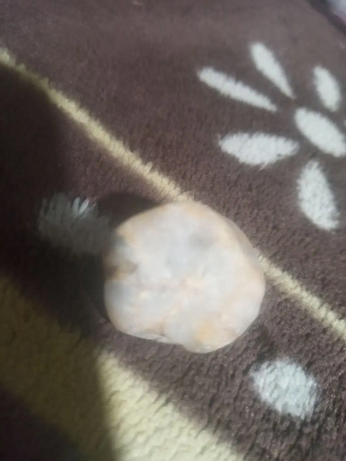 سنگی که تو خودش نور نگه میداره|کلکسیون اشیاء عتیقه|قوچان, |دیوار