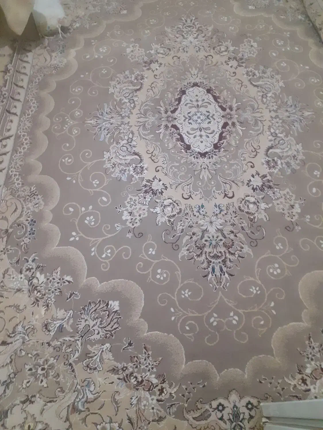 فروشی|فرش|خواف, |دیوار