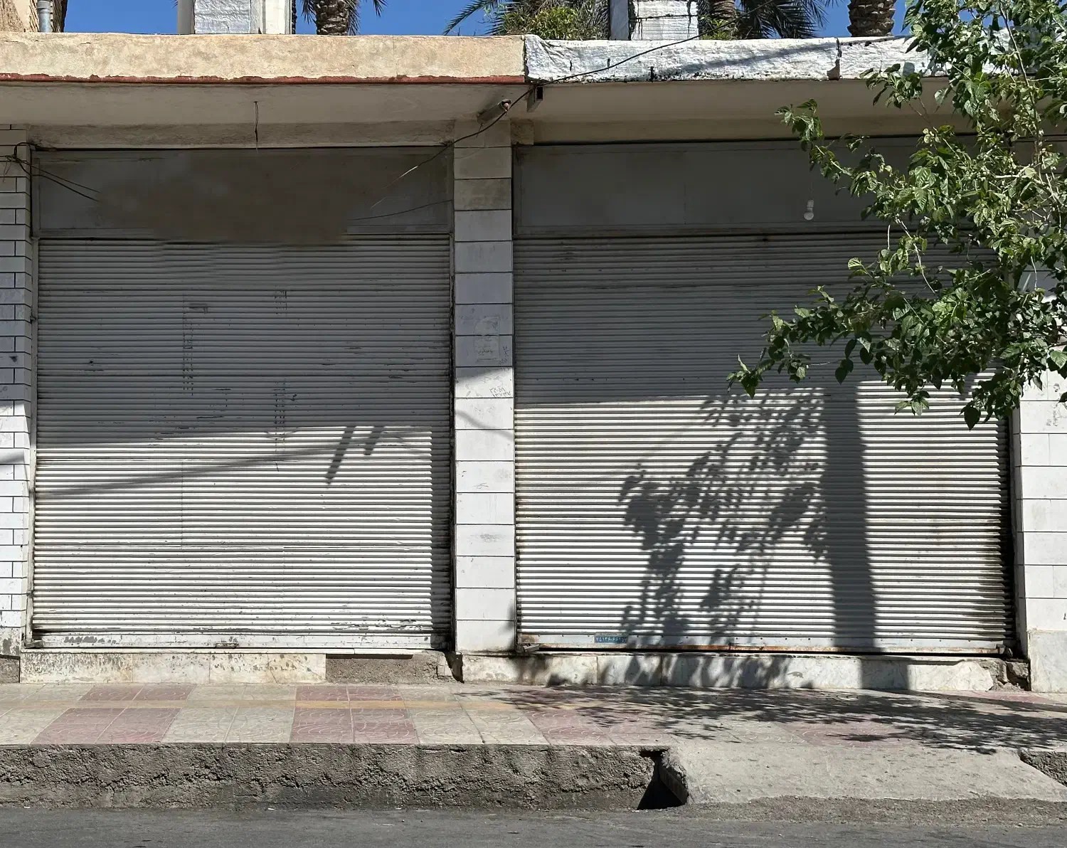 ۲ دهنه مغازه تجاری|فروش مغازه و غرفه|جهرم, |دیوار