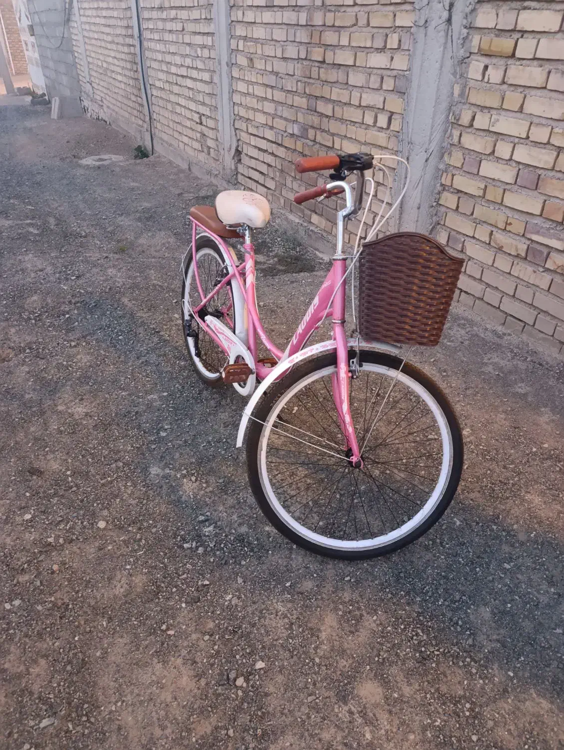 دوچرخه دخترانه|دوچرخه، اسکیت، اسکوتر|بافت, |دیوار