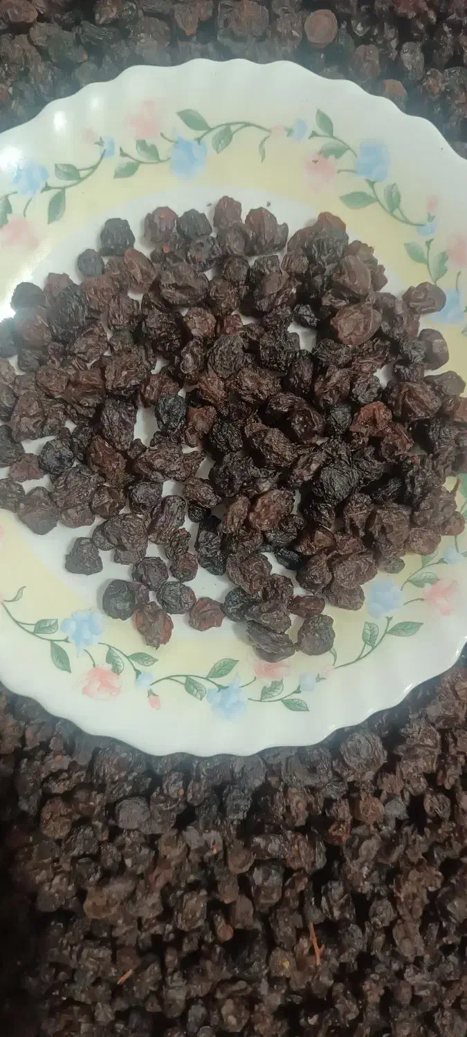 کشمش افتابی|عمده‌فروشی|جغتای, |دیوار