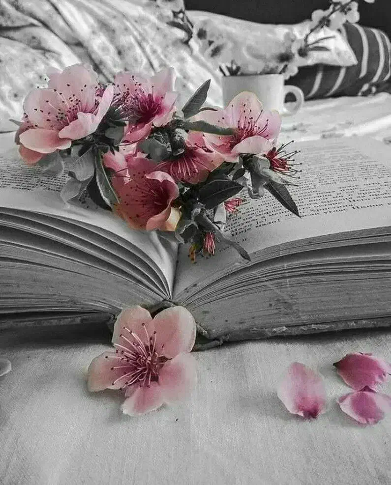 تدریس و آموزش زبان انگلیسی و تمام دروس.|خدمات آموزشی|تبریز, |دیوار