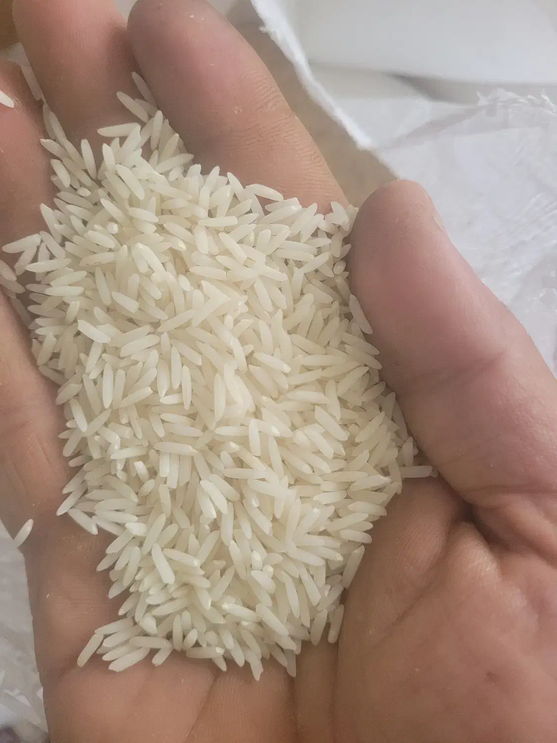 برنج هاشمی|خوردنی و آشامیدنی|رشت, جانبازان|دیوار