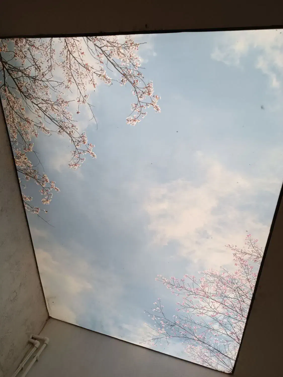 سقف کشسان جلوهای مدرن برای هر فضا . طراحی و نصب|خدمات پیشه و مهارت|همدان, |دیوار