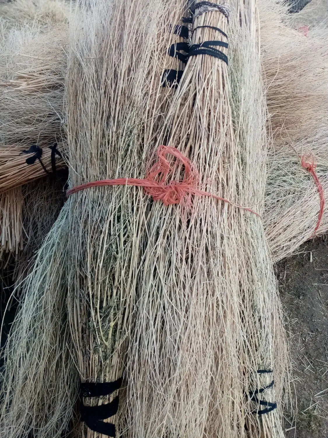 جارو|لوازم نظافت|فیروزآباد (آذربایجان), |دیوار