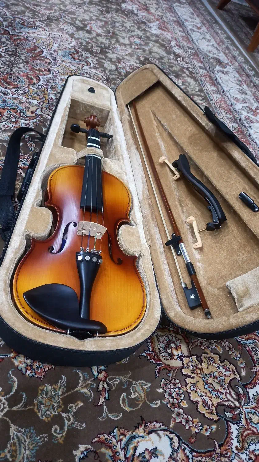 ویولن تی اف 142|ویولن|اهواز, کوی ملی راه|دیوار