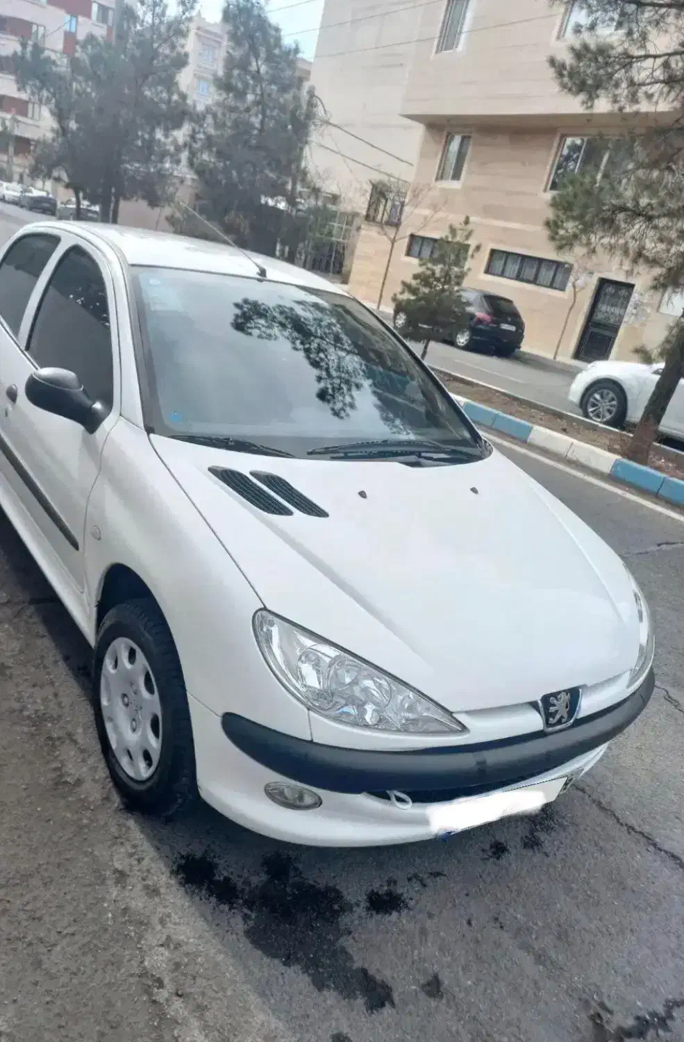 پژو۲۰۶|خودرو سواری و وانت|کرمان, |دیوار