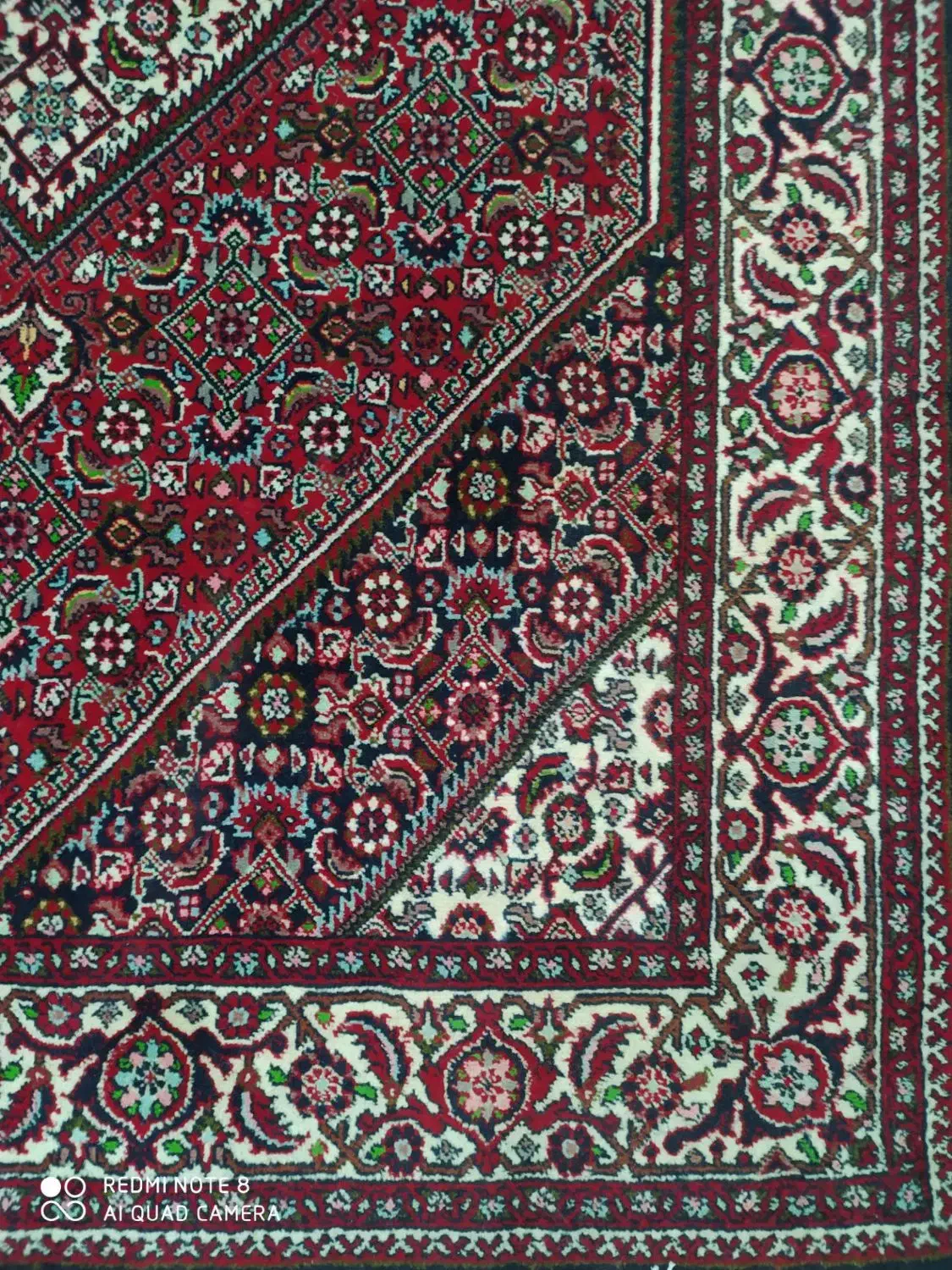 فرش دستبافت زرنیم|فرش|زنجان, |دیوار