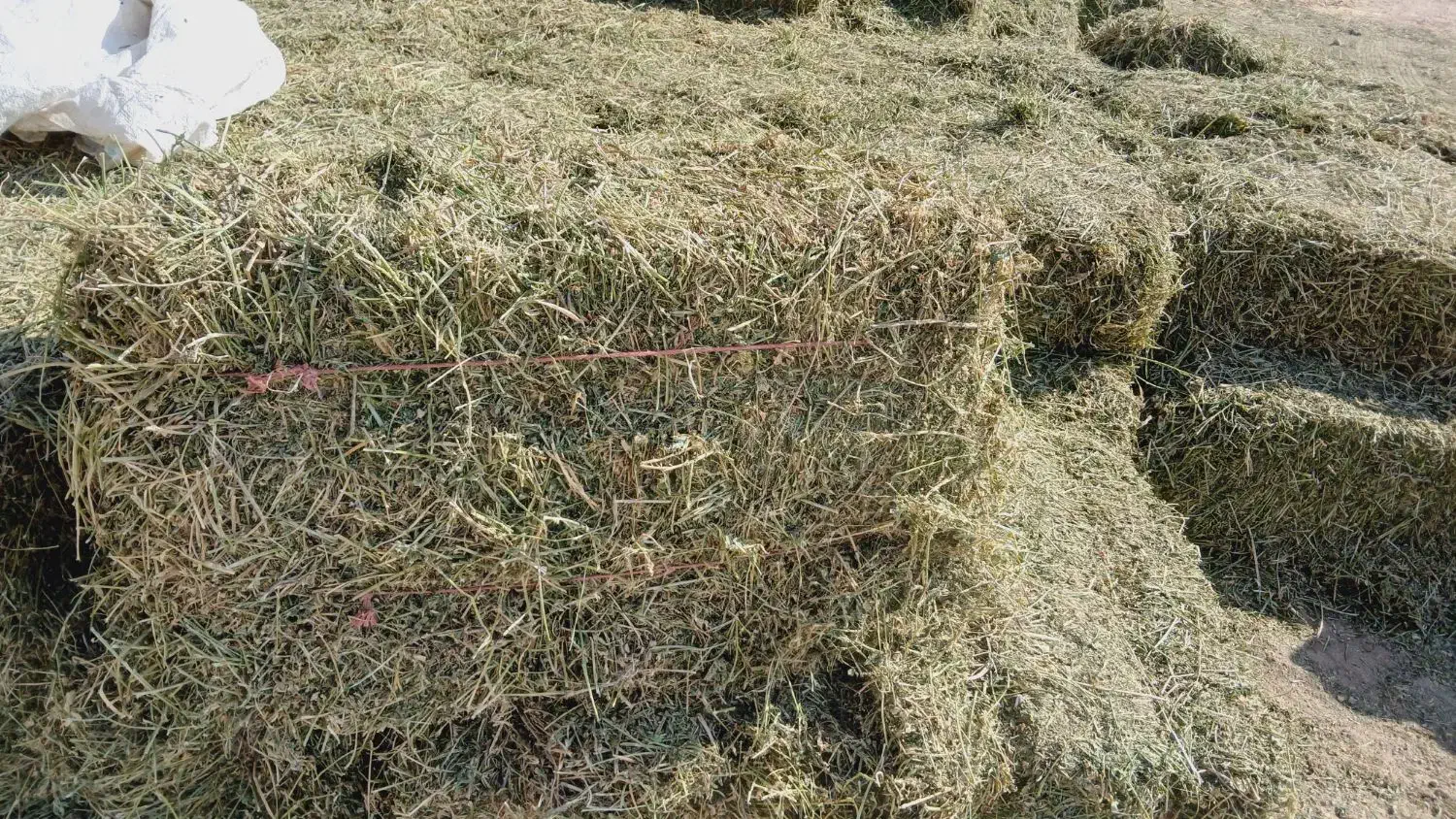 علوفه دامی کاه گندم یونج|لوازم جانبی حیوانات|دشتابی, |دیوار