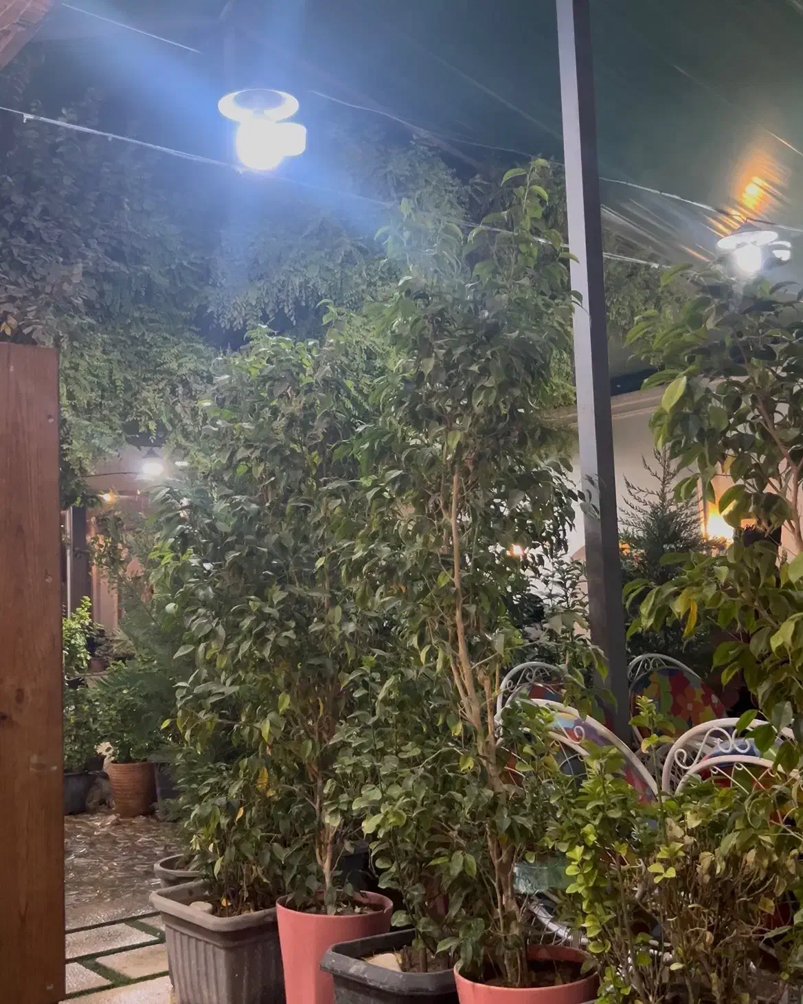 نیازمند نیرو اقا کمک اشپز در باغ رستوران|استخدام خدمات فروشگاه و رستوران|کاشان, قطب راوندی|دیوار