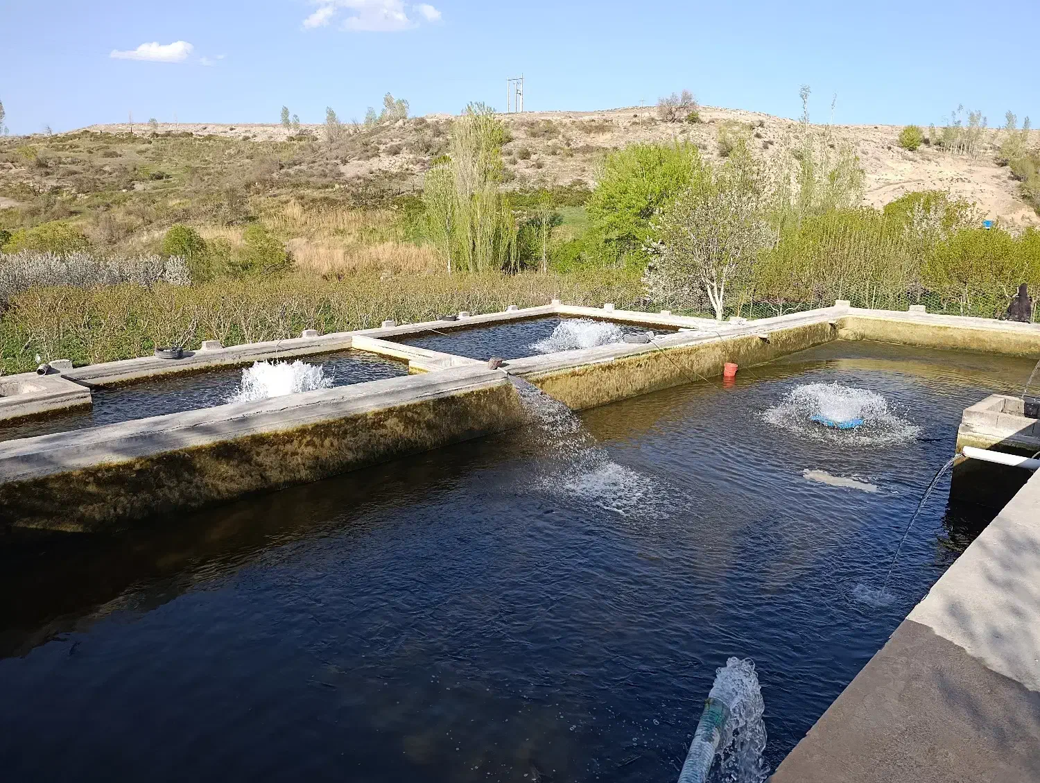 نگهبانی در پرورش ماهی|استخدام سرایداری و نظافت|مشگین شهر, |دیوار