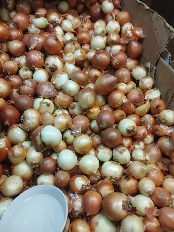 کارگر میوه فروشی . بساط زن|استخدام خدمات فروشگاه و رستوران|تبریز, |دیوار