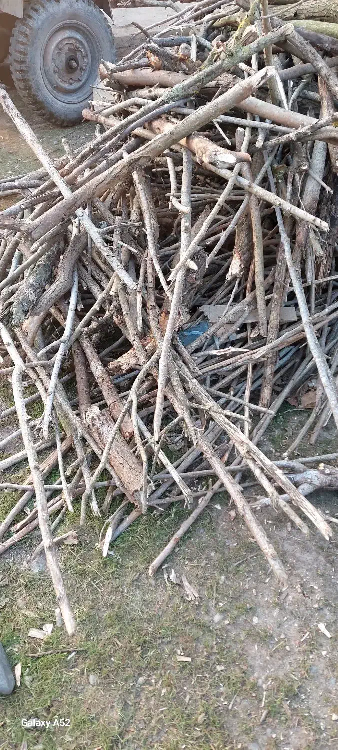 ضایعات چوب|خدمات پیشه و مهارت|رودبنه, |دیوار