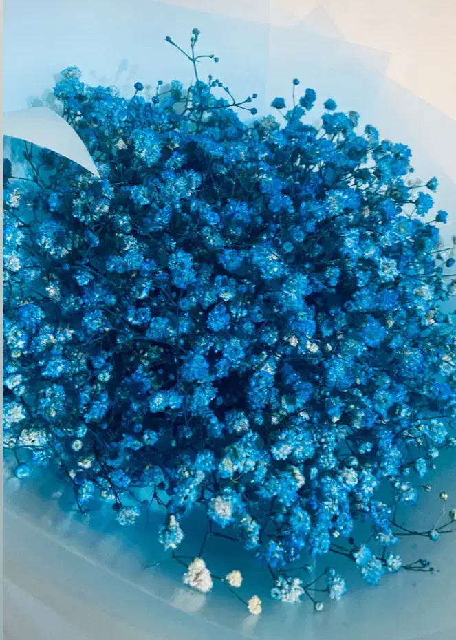 شراکت در زمینه گلخانه|خدمات باغبانی و درختکاری|اردبیل, |دیوار