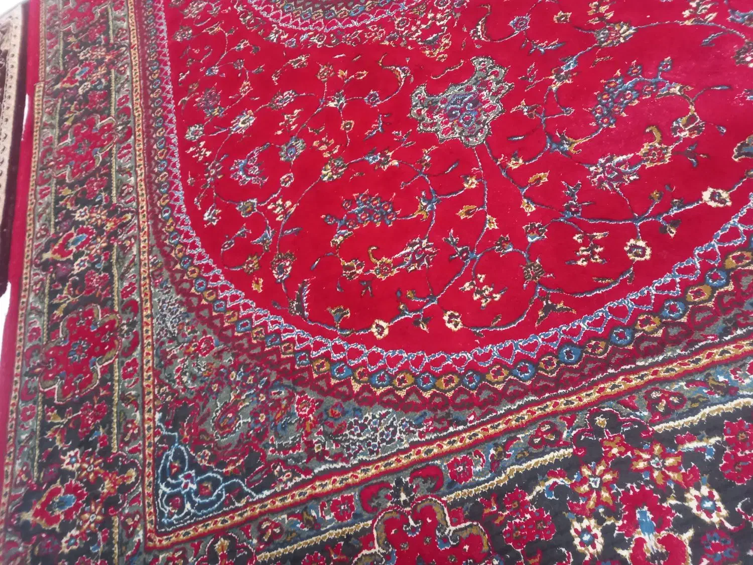 قالی ۶ متری|فرش|کرمان, |دیوار