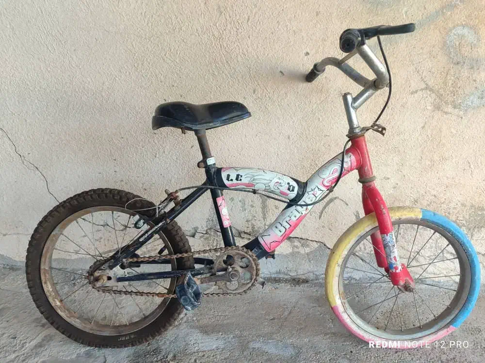 دوچرخه|دوچرخه، اسکیت، اسکوتر|بوشهر, |دیوار