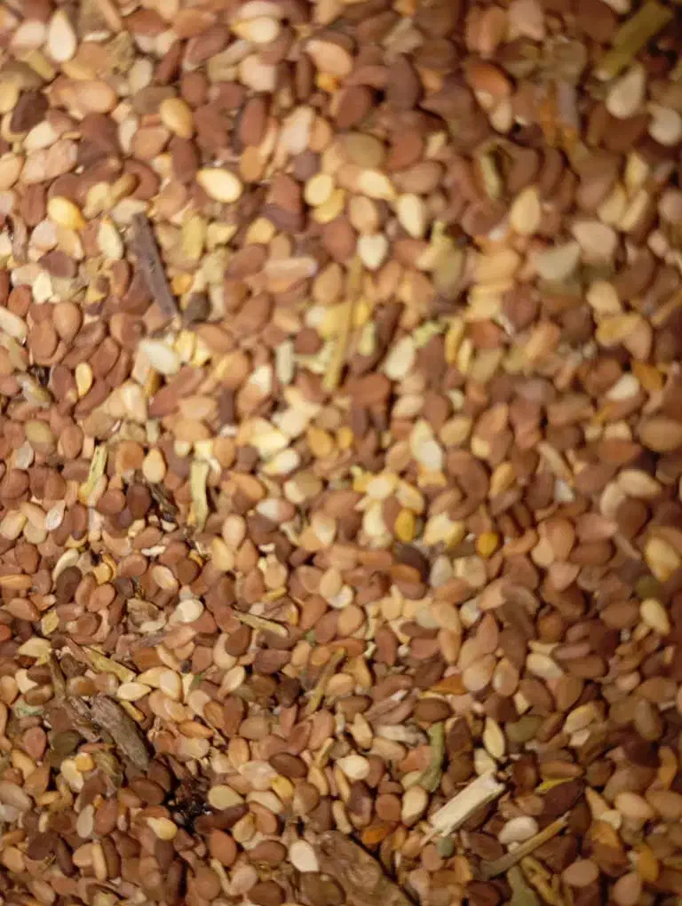 کنجد|خوردنی و آشامیدنی|رودبار (کرمان), |دیوار