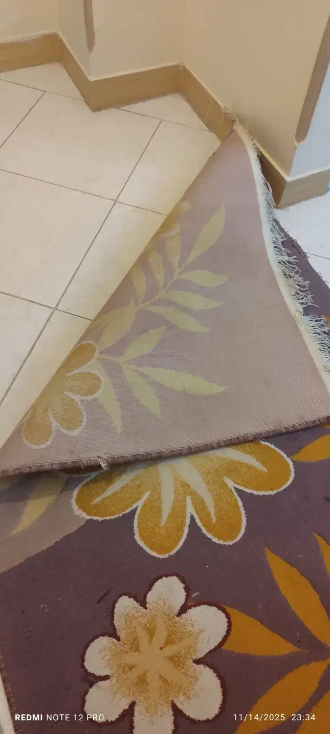 فرش ۱متر در ۱/۵|فرش|کرج, ساسانی (قلمستان)|دیوار