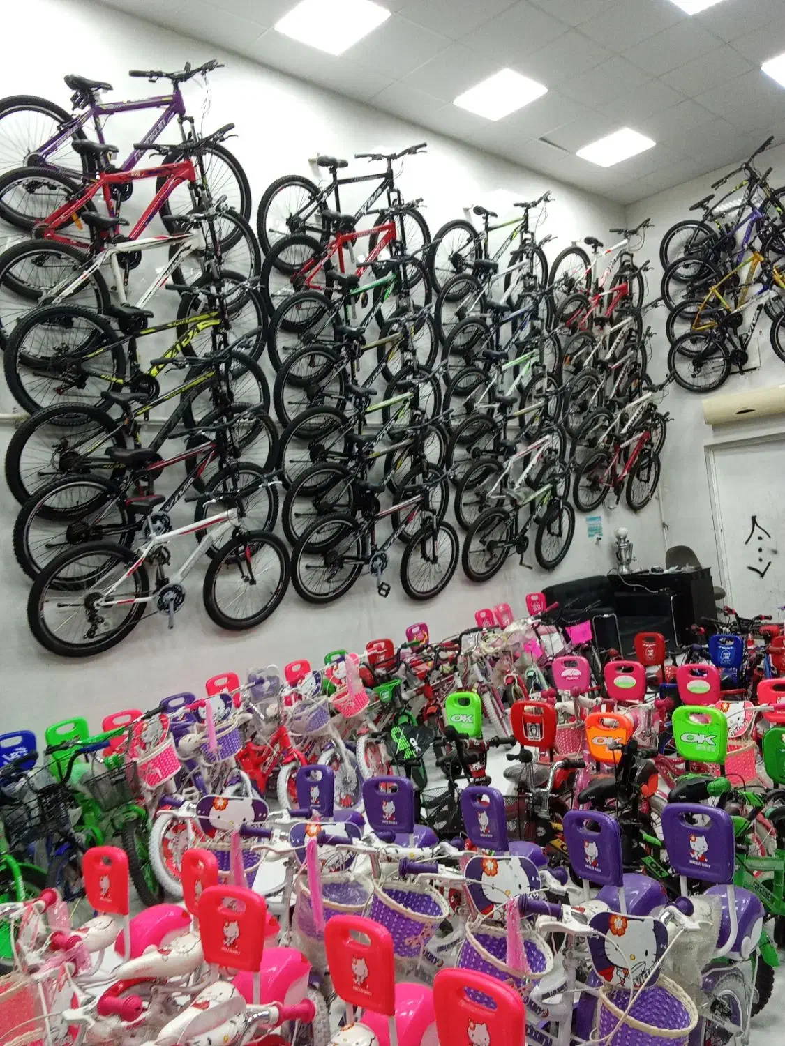 دوچرخه 10 ماهه بدون سود|دوچرخه، اسکیت، اسکوتر|گرگان, |دیوار