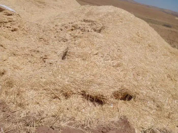 کاه گندم ریز|حیوانات مزرعه|قیدار, |دیوار