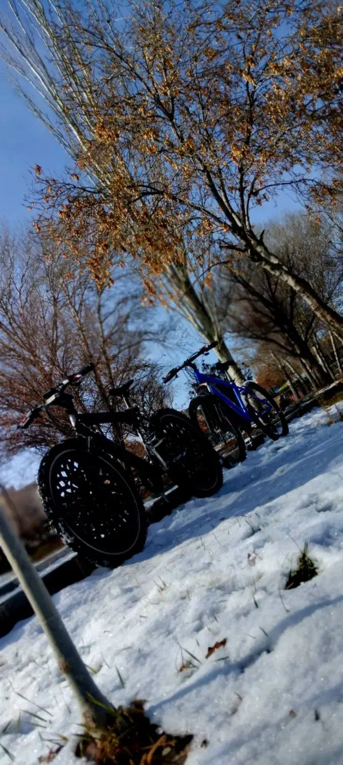 دوچرخه 26|دوچرخه، اسکیت، اسکوتر|بستان آباد, |دیوار