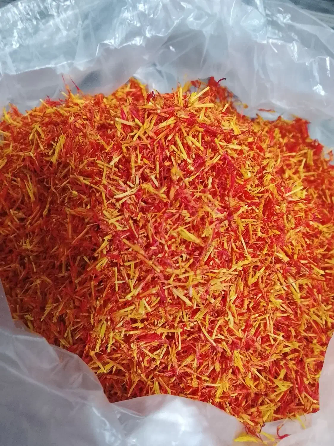 گلرنگ|خوردنی و آشامیدنی|شیراز, سعدیه شمالی|دیوار