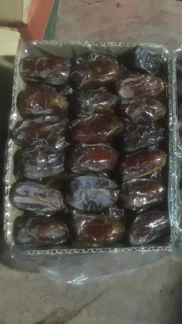 خرما کبکاب|خوردنی و آشامیدنی|شیراز, باهنر|دیوار