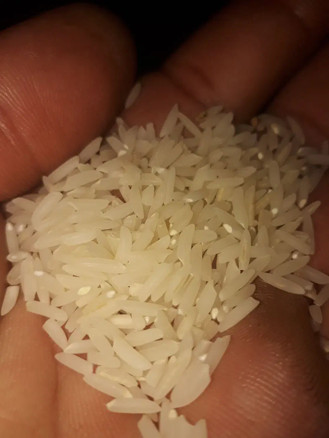برنج هاشمی دره رود|خوردنی و آشامیدنی|دره رود, |دیوار