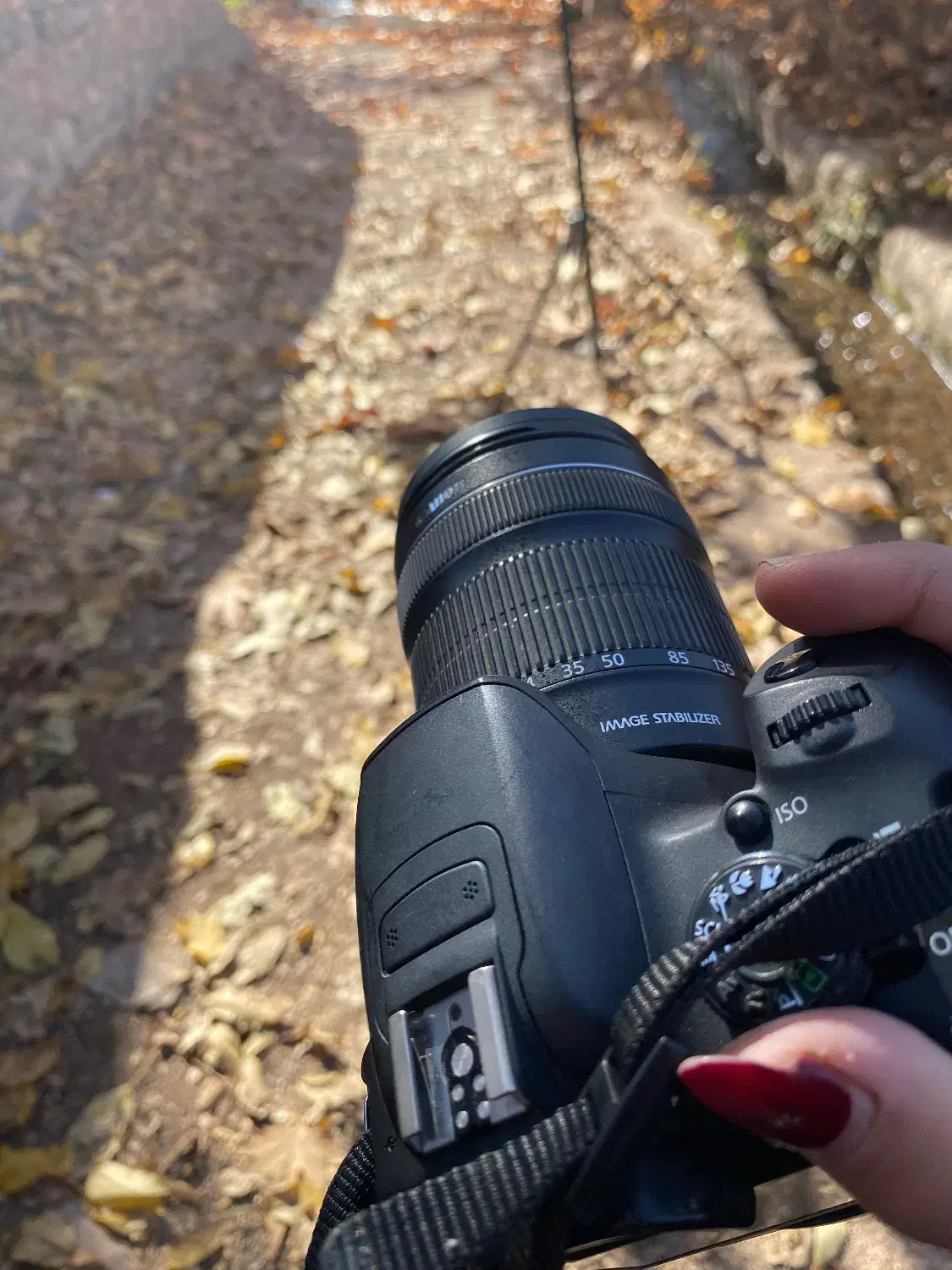 دوربین عکاسی|دوربین عکاسی و فیلم‌برداری|نیشابور, گنبد سبز|دیوار