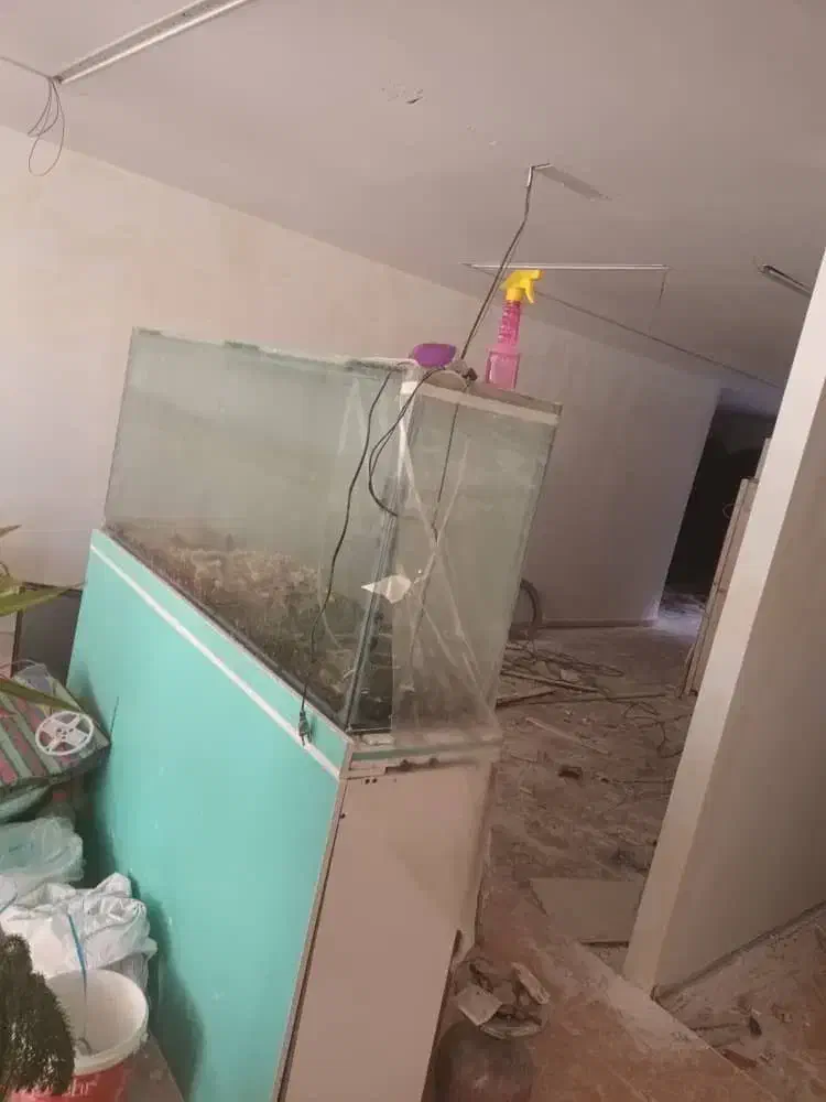 آکواریوم بهمراه کمد زیرش|ماهی|کرج, عظیمیه|دیوار