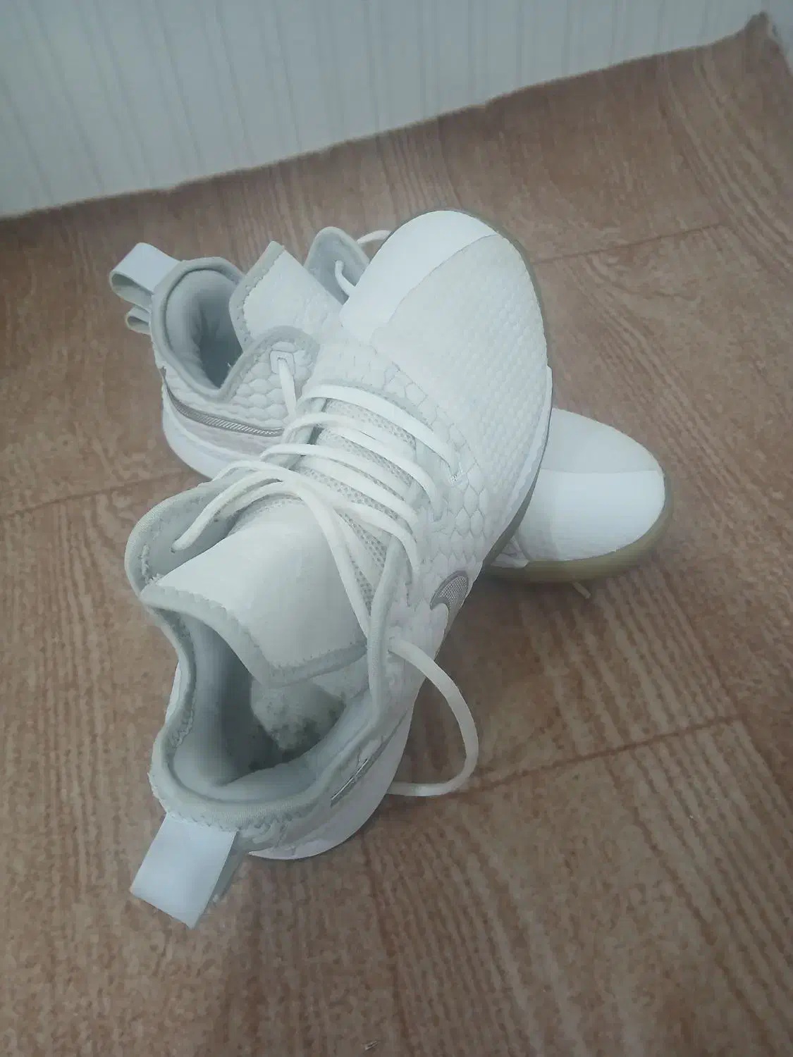 کفش.اورجینال|کیف، کفش، کمربند|سیجوال, |دیوار