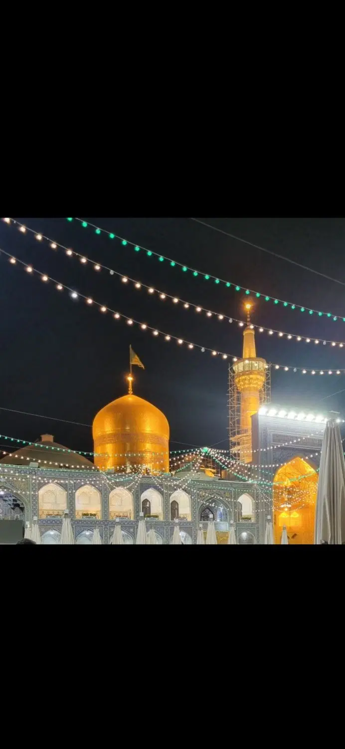تور مشهد|تور و چارتر|قم, انصار‌الحسین|دیوار