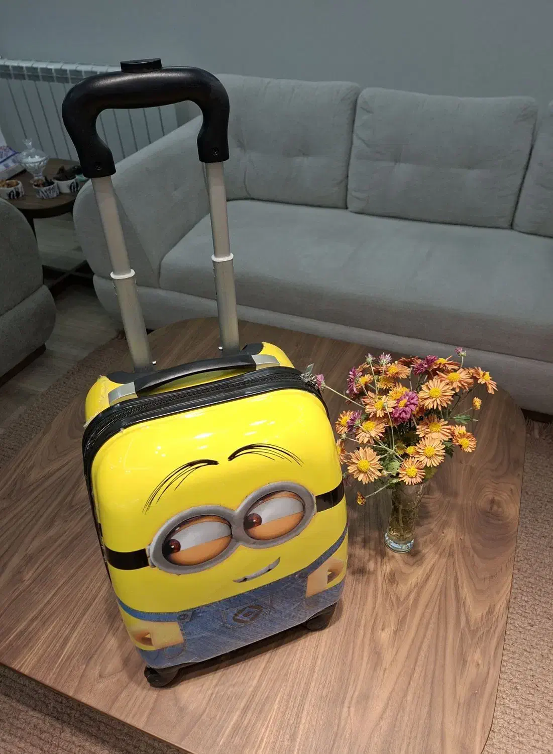 چمدان کودک|کیف، کفش، کمربند|یزد, |دیوار