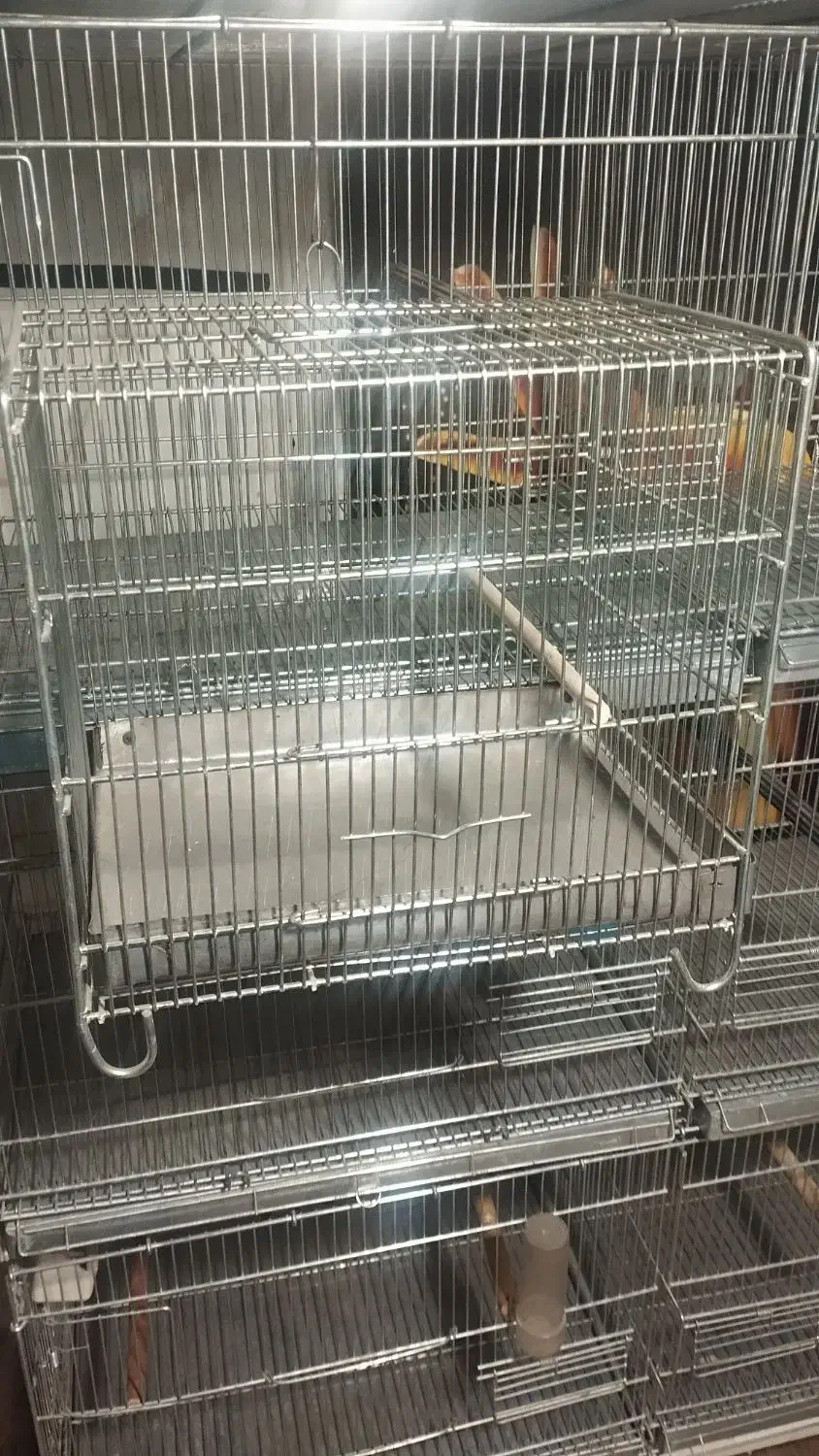 قفس پرنده|لوازم جانبی حیوانات|ری, جوانمرد قصاب|دیوار