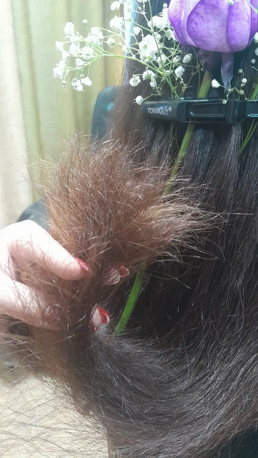 موخوره گیری روسی با آبرسانی کامل با قیمت مناسب|خدمات آرایشگری و زیبایی|مرند, |دیوار