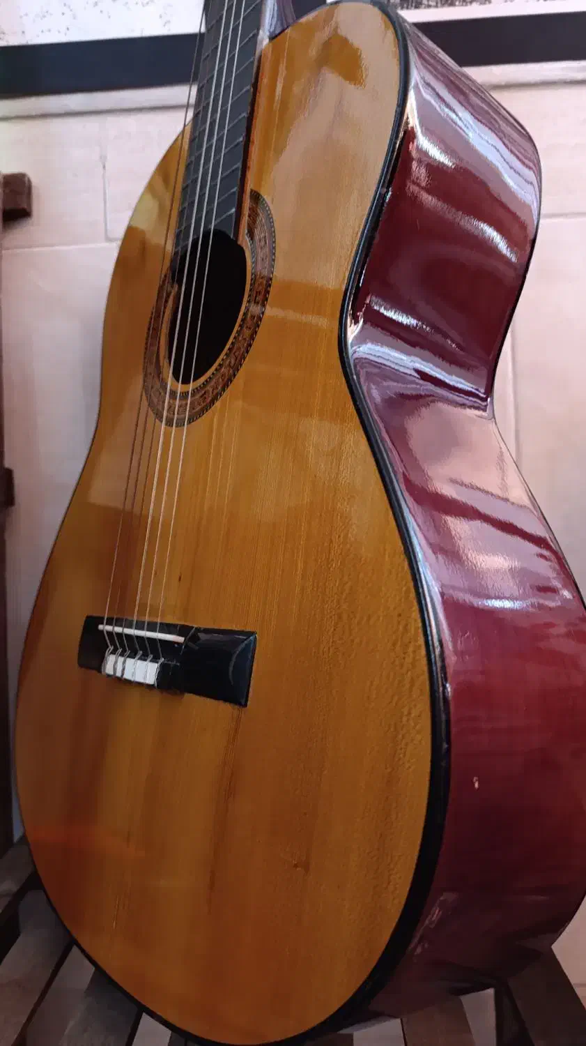 ساز گیتار|گیتار، بیس، امپلیفایر|اصفهان, شیخ طوسی|دیوار