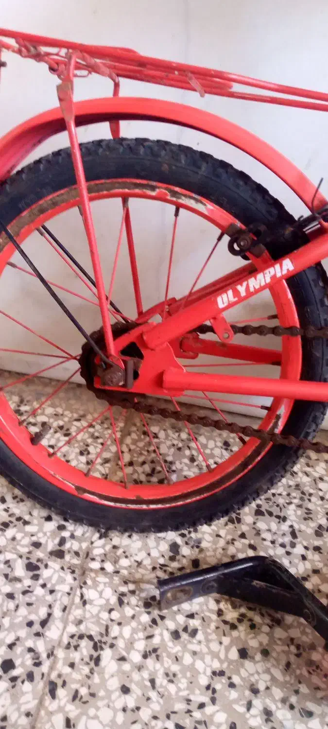 دوچرخه ۱۶ در حدنو المپیا|دوچرخه، اسکیت، اسکوتر|گنبد کاووس, |دیوار