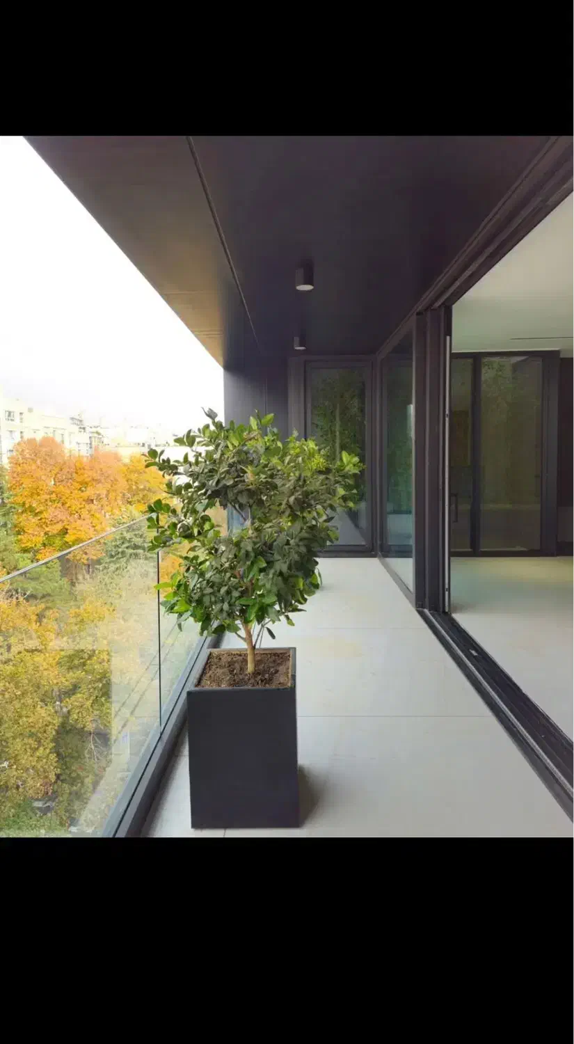 مشارکت در ساخت ،،منطقه دکتر حسابی|مشارکت در ساخت املاک|شیراز, دکتر حسابی|دیوار