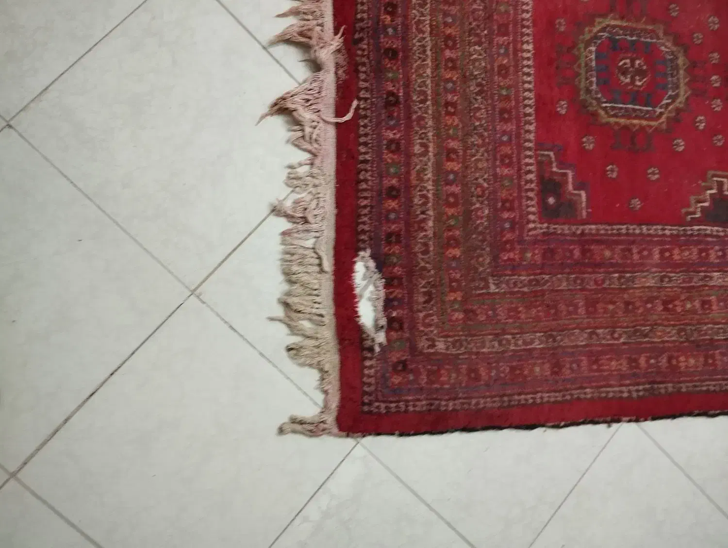 قالی دست بافت|فرش|مشهد, بهارستان|دیوار