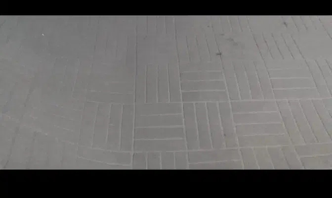 موکت طوسی روشن|موکت|بهارستان, |دیوار